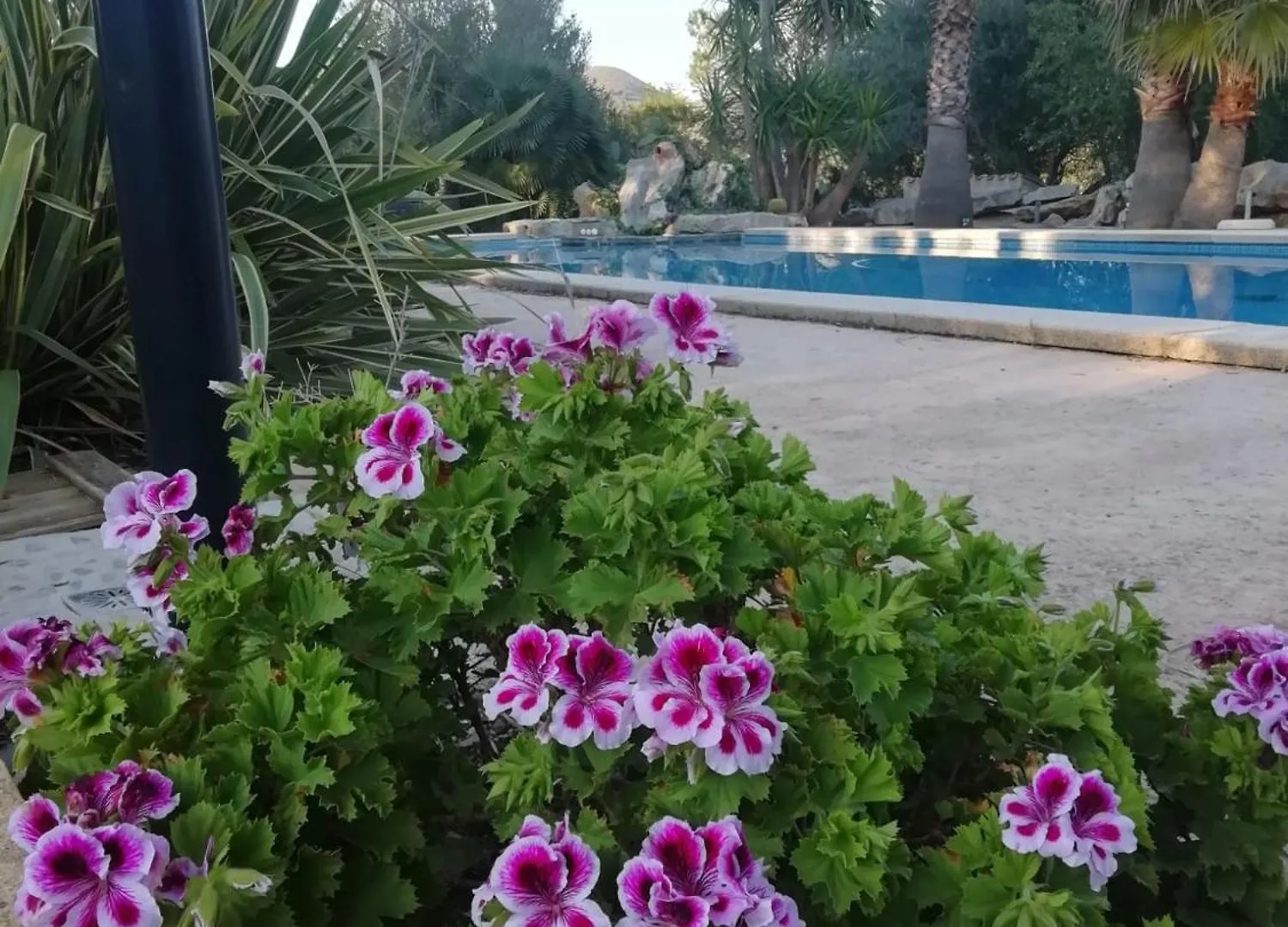 Yourhouse Son Morey Villa Arta Spain